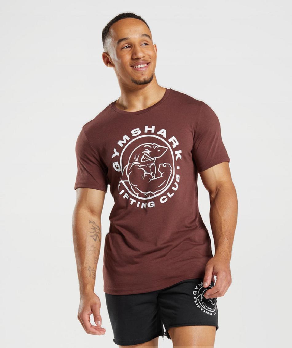 T Shirts Męskie Gymshark Legacy Różowe Brązowe | PL 3860MQZ